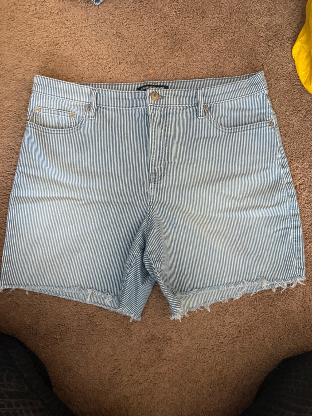 Calvin Klein Jeans Light Blue & White Striped Denim Shorts size 16